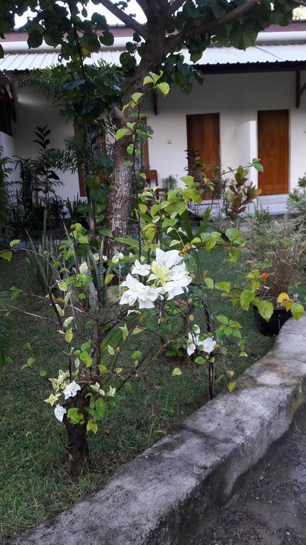 Herry Homestay Kuta  Exterior photo